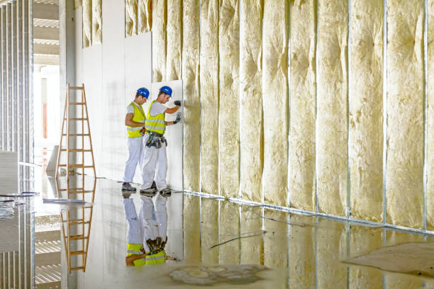 Best Insulation for New Construction  in Bolinas, CA